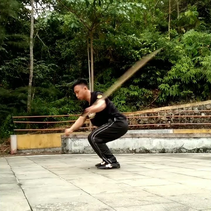 Modern Wushu Staff (Freestyle) Jurus Toya Wushu (Freestyle) - Lianto Salie