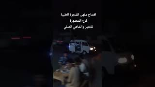 افتتاح مقهى الشجرة الطيبة فرع المنصورة