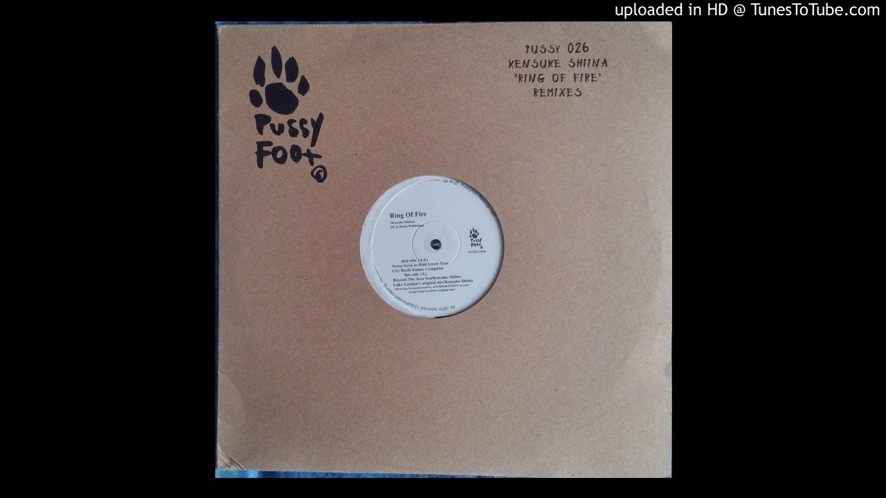 Kensuke Shiina - Ring Of Fire (Dark Of Light Essence Mix)