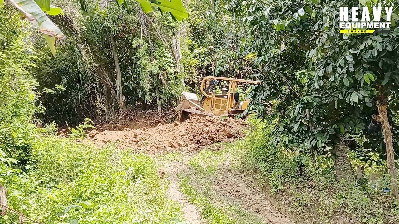 Excellent Work Caterpillar D6R XL Bulldozer Working to Make New Roads in Plantations