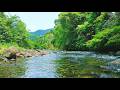 Peaceful River Sounds in the Forest 🍃 Sleep White Noise