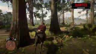 Unk nown[red dead redemption 2 live gameplay]