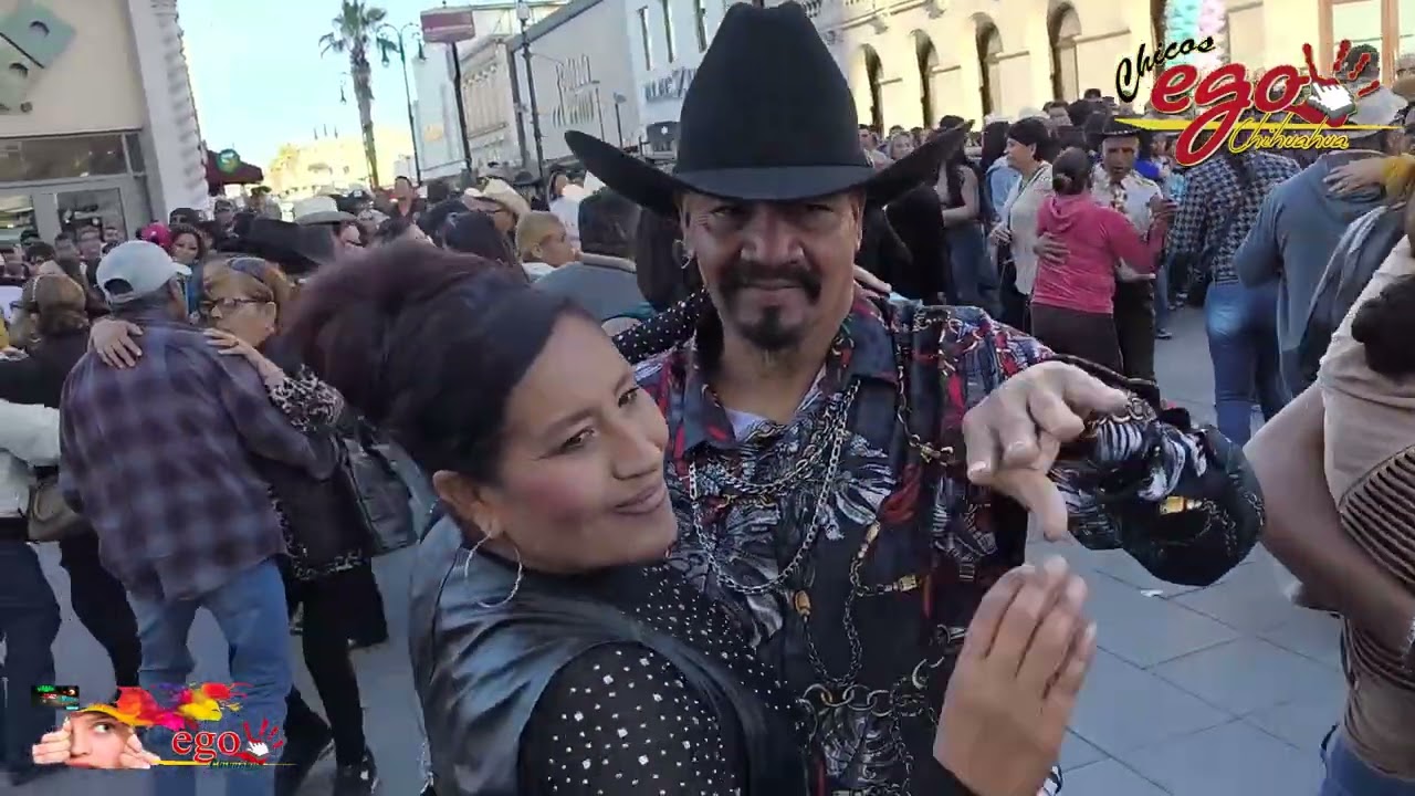 Instinto de Chihuahua  en la Plaza de #chihuahua