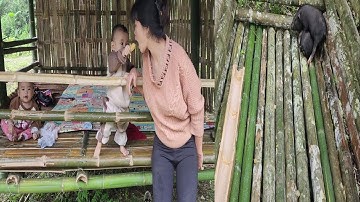 single mother built a bamboo pig pen, bought pigs to raise and take care of her children @lytieuthu