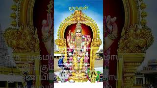 வழிபாடு #mgrlatha #love #tamil #ajithmani #youtuber #song #lovesongs #arrahman #music #tamilmusic