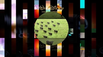 scan vs round 86 season 2