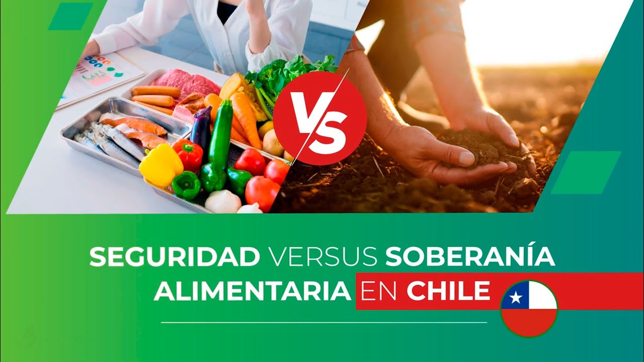 Seguridad versus soberanía alimentaria en Chile - YouTube