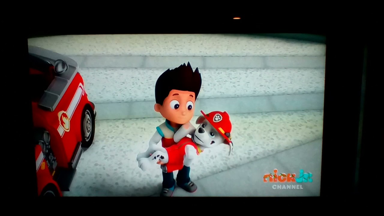 paw patrol pups and kitty tastrophe