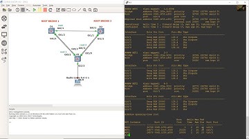 4.1.2 Lab - Implement MST