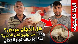 هل الدجاج والبيض مريض تجار الدجاج يوضحون ماسبب إنخفاض ثمن الدجاج هل المرض هو السبب أم سبب آخر 