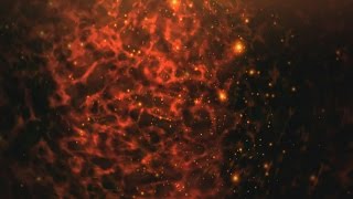 60Fps Red Plasma Fog Fast Flicker Ambient Particles 4K 2160P Hd 1080P Background Effect Animation