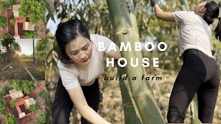 Make a bamboo house, build a farm and start a single life | Bui Thuy Linh