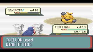 Pokemon Ruby Walkthough -Part 11- Skitty Upset!