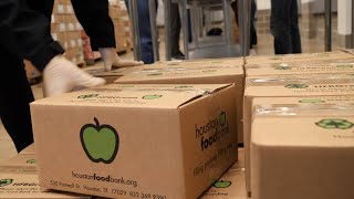 Senior Food Box