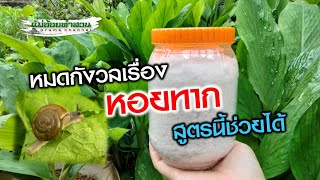 รู้แล้วหอยทากกลัวอะไร ! วิธีกำจัดหอยทาก ให้สิ้นซาก เกลี้ยงสวน 100% #เกษตรอินทรีย์ #แม่อ้อยทำสวน