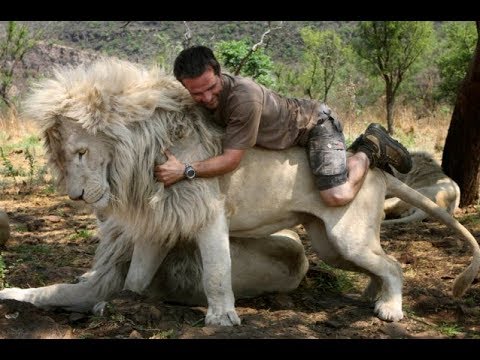 TRY NOT TO CRY. HUMAN AND ANIMAL FRIENDSHIPS, lions, tigers, monkeys, cats, dogs
