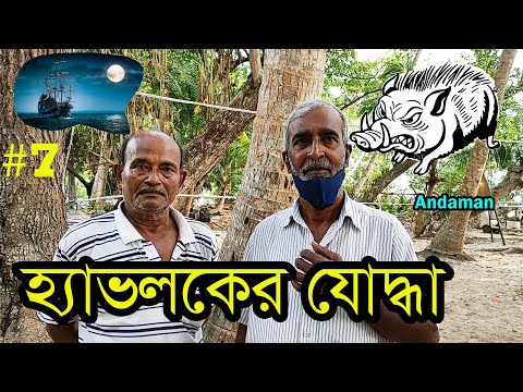 ভিডিও: কোথায় বুনো শুয়োর গুলি