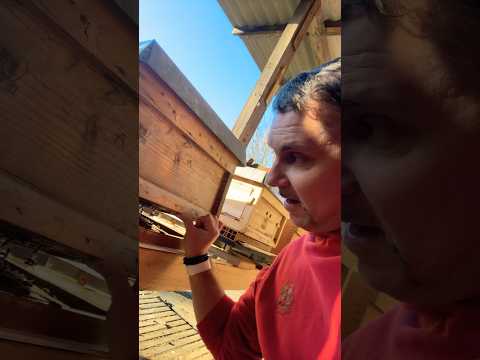 Nicht reden, selber testen 💪🏻🤗🤣 #holidayswithyoutube