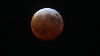 Famous Miss last night's lunar eclipse? Check out these photos of the 'blood moon' Wealth