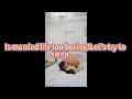 The Wrong Love  Episode 2 #shorts #playlet #wife #exchange #many people