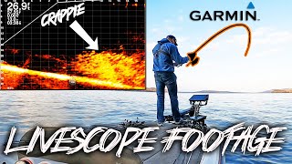 INSANE Crappie Fishing with LIVESCOPE Watch It All Unfold(Mega School)