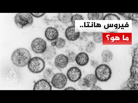 هانتا.. فيروس مرتبط بالقوارض يثير مخاوف صحية عالمية