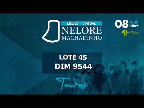 LOTE 45 DIM 9544