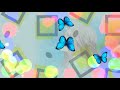 【You make me Feel Brand New誓い】ソニア&bull;ロ&ndash;ザ