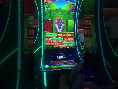Vad är Live Casino på Slotlion?