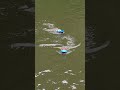 RC Boat Races Got INTENSE 😂🚤