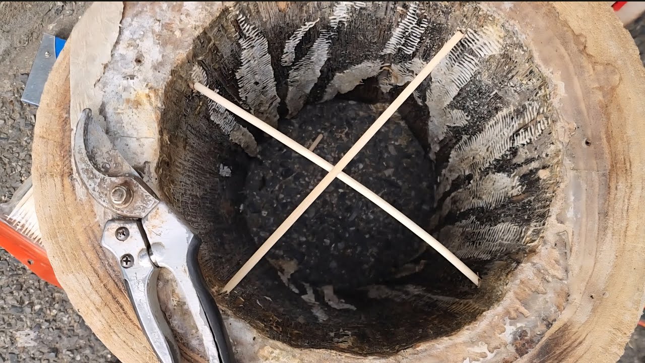 토종벌.산벌 중요한것.설통으로 입주를 어떻게 하면 잘될까?