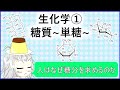 生化学①「糖質～単糖～」