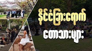 တောကျတဲ့ မြန်မာတွေ နဲ့ ပျောက်ဆုံးနေတဲ့ Civic Sense  screenshot 1