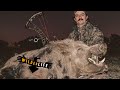 HOYT Z1S - LONG TERM HUNTING REVIEW - hunting footage