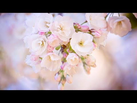 Пальмы на ногтях фото 2019 модные новинки дизайна