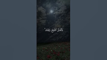 مَن كانَ يُريدُ العِزَّةَ فَلِلَّهِ العِزَّةُ جَميعًا﴾ ماتيسر من سورة فاطر ﴿ارح قلبك