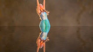 Photoshop tutorial - How to create Water Reflection by Priyvimal screenshot 5