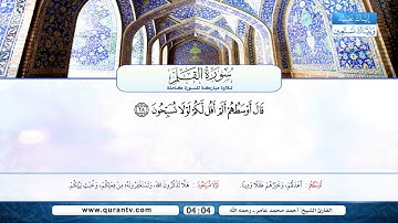 سورة القلم | أحمد محمد عامر رحمه الله