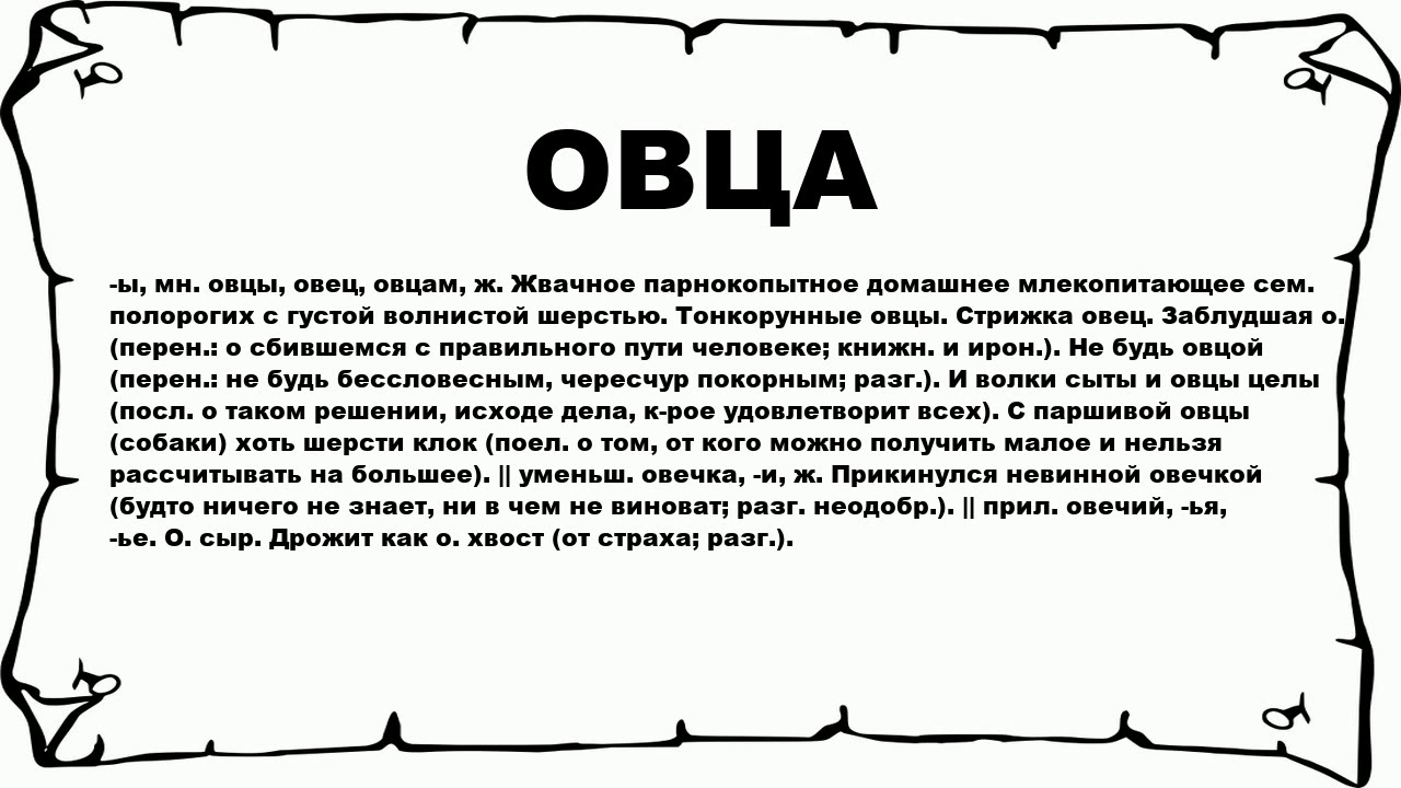 К чему. Что обозначает овца. Слово овца. Что означает овцы. Обозначение слова барашки.