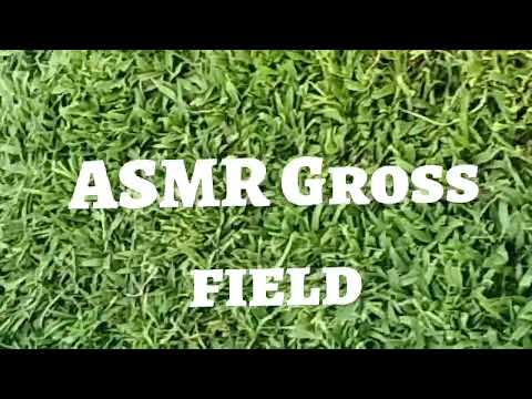 ASMR Gross Field