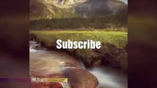 How to download whatsapp status on our SD card screenshot 3