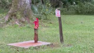 McNeil Campground 2023