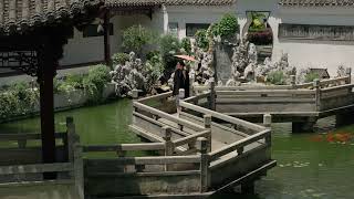 水中风物 #东方美学 #旗袍 #中式美学镜头 #江南烟雨 #古风