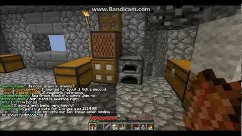 skyblock.net server review