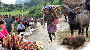 Chợ Đặc Biệt Nguyên Sơ Tây Bắc - Dê Núi, Lợn Cắp Nách Đặc Sản Và Thảo Dược Quý Hiếm 