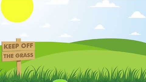 GrowingTree OsorioMS