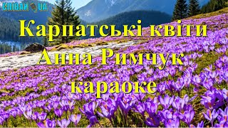 Карпатські квіти (мінус, караоке, Не задавка) Анна Римчук