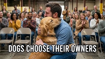 When Dogs Choose Who Adopts Them...