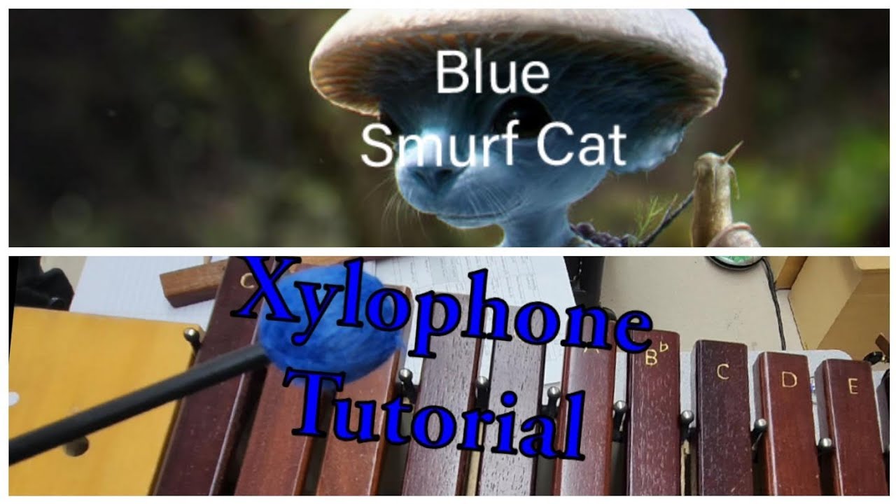 Blue Smurf Cat Xylophone Tutorial YouTube