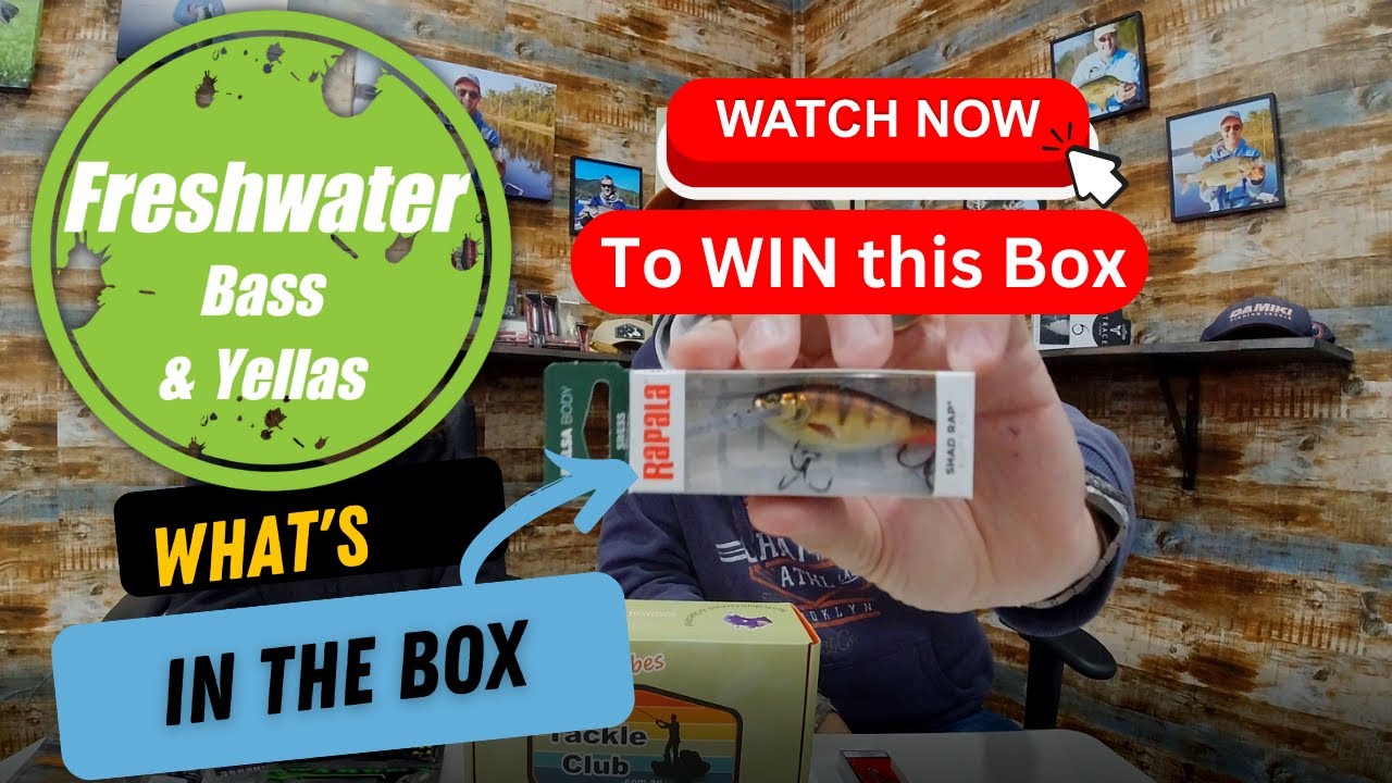 So Good, our May 2023 BASS BOX revealed - YouTube